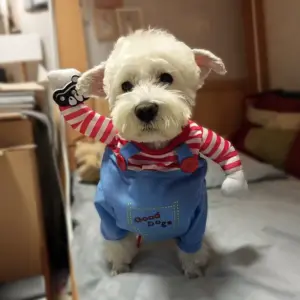 fantasia de halloween para cães e gatos ajustável