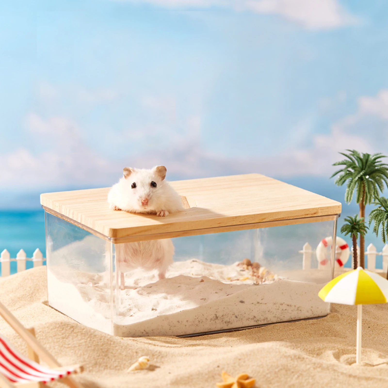 Banheira para Hamster de Acrílico e Madeira Transparente - Imagem 3