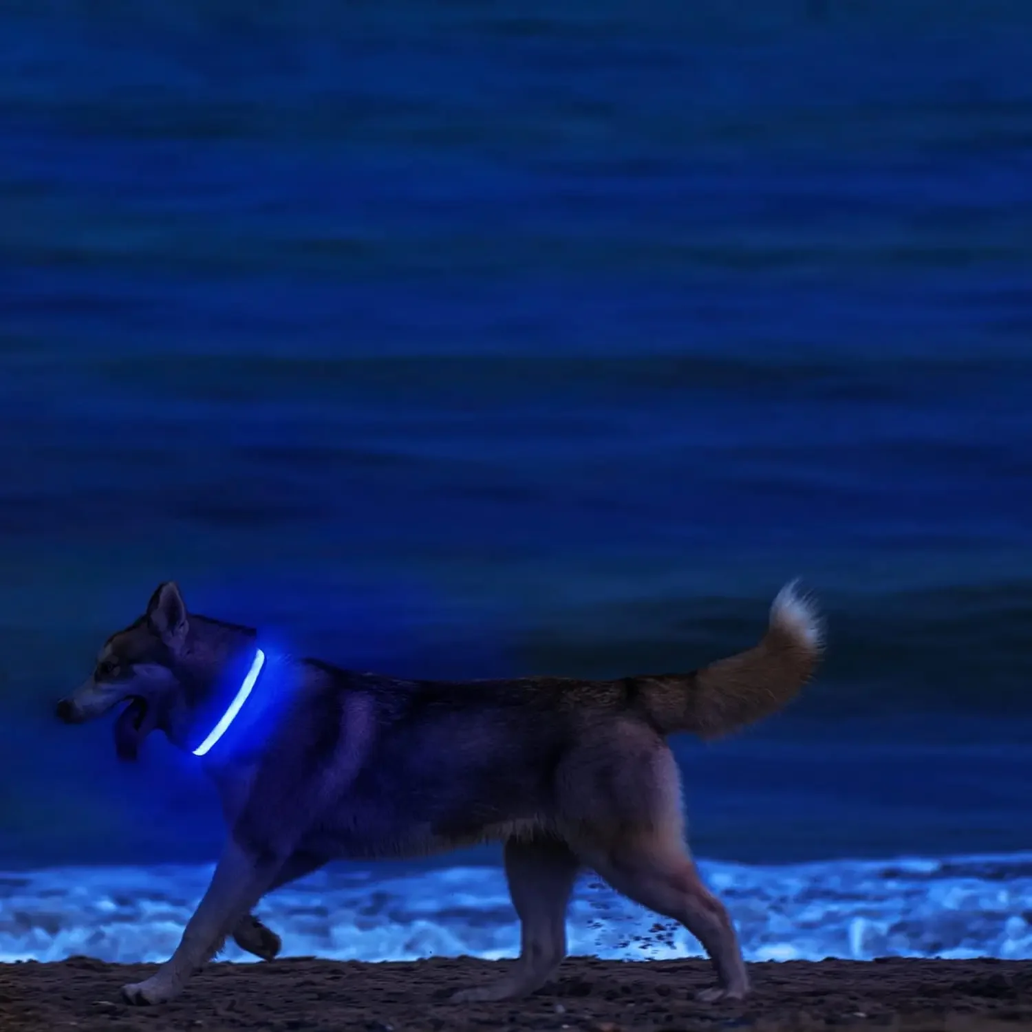 Coleira LED para Cães com 3 Modos de Luz para Caminhada Noturna - Imagem 3