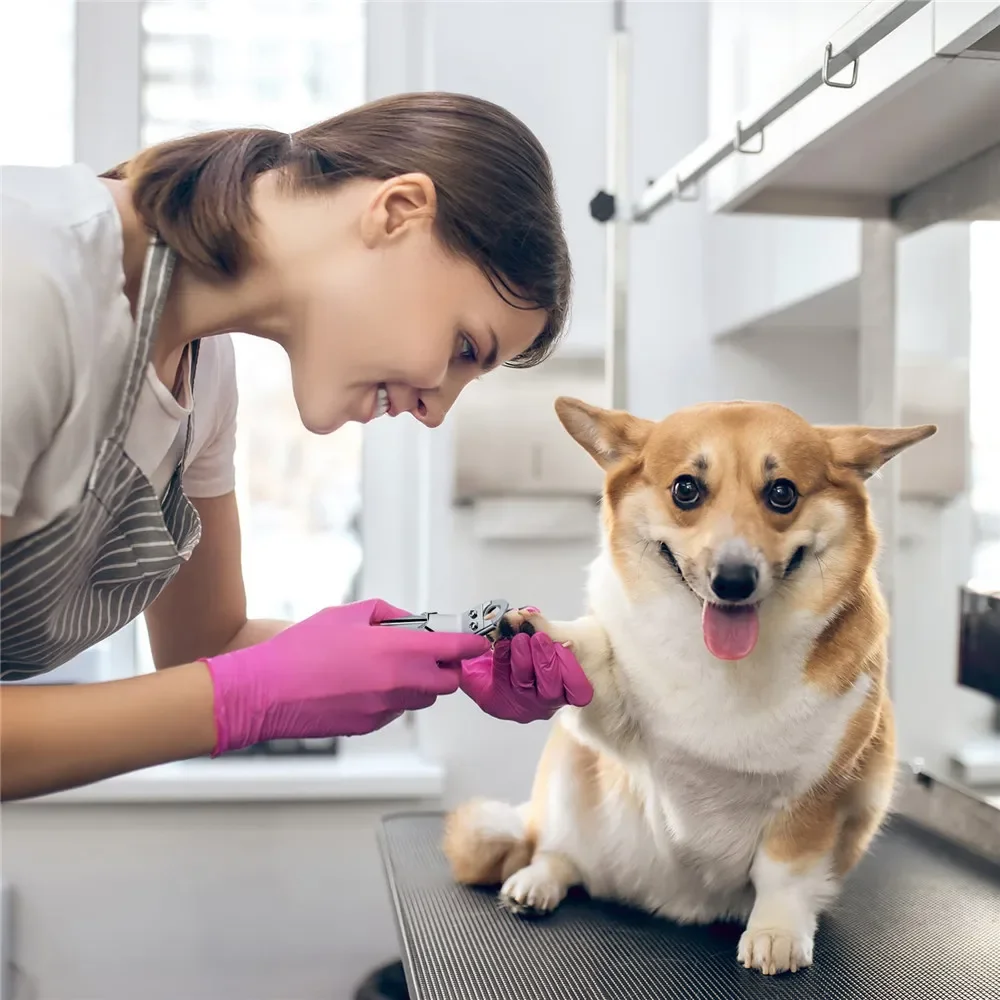 Cortador de Unhas para Cães e Gatos de Aço Inoxidável - Imagem 5