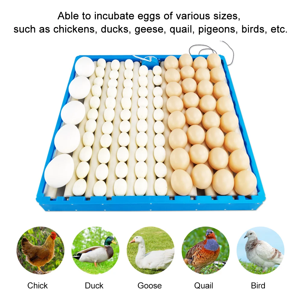Incubadora Automática para Ovos de Aves 70 Ovos 360° - Imagem 6
