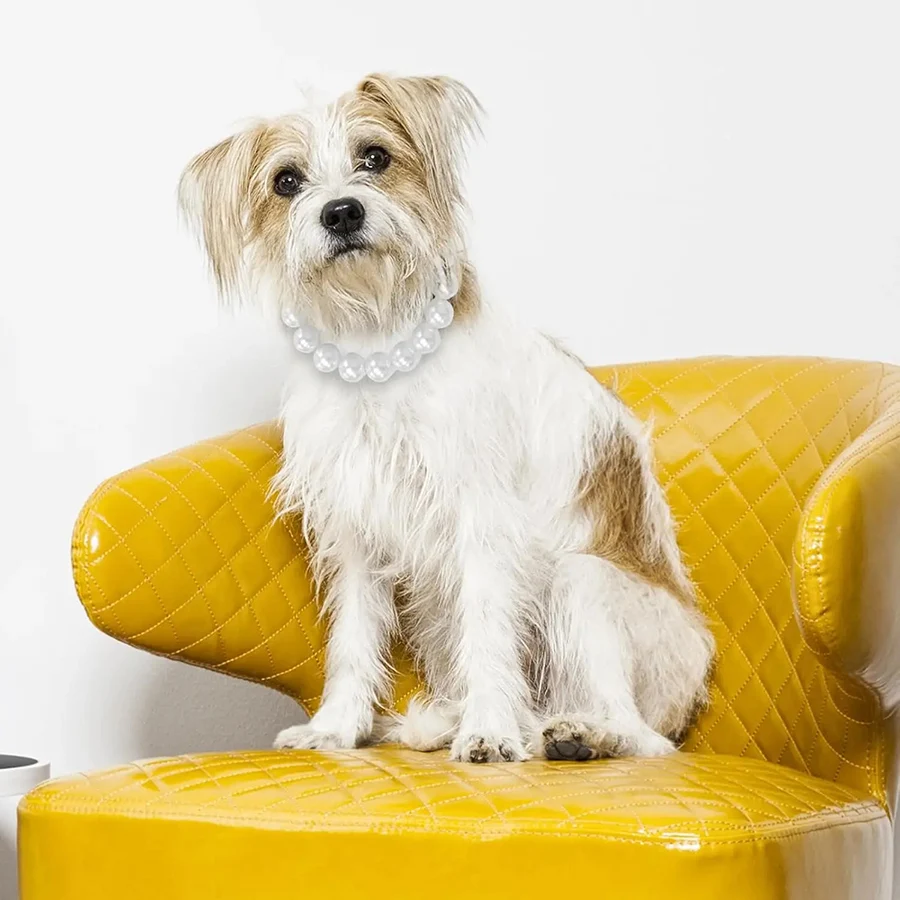 Coleira de Pérolas para Cães de Médio e Grande Porte com Corrente Extensora - Image 5