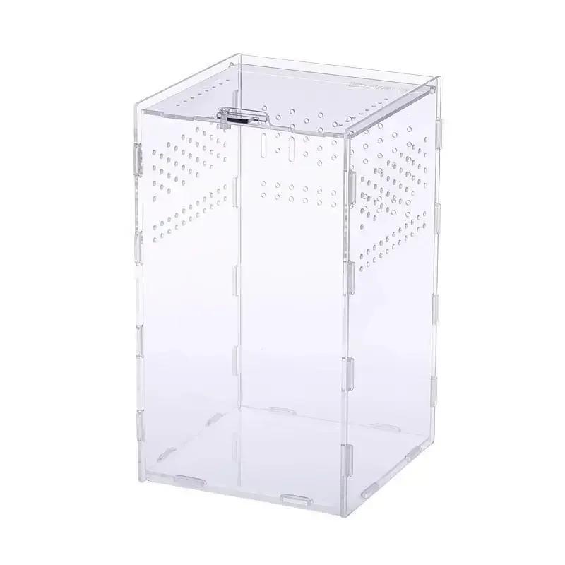 Terrário Acrílico Transparente para Répteis Pequenos com Ventilação - Imagem 6
