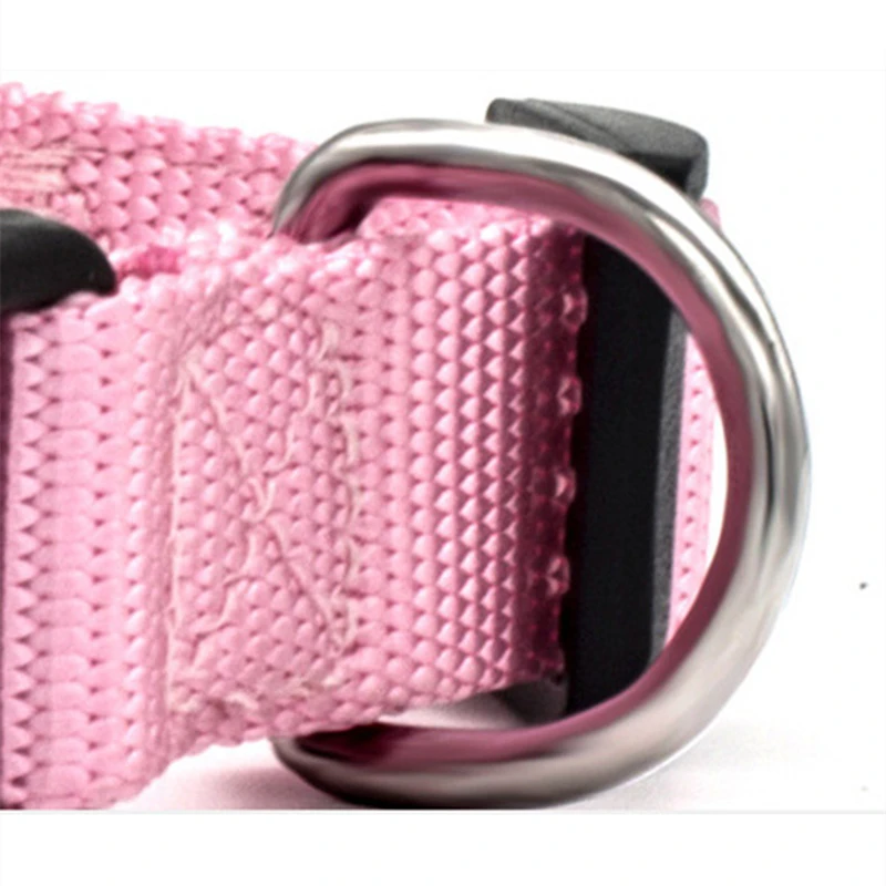 Coleira de Nylon para Cães e Gatos Pequenos e Médios Ajustável - Imagem 5