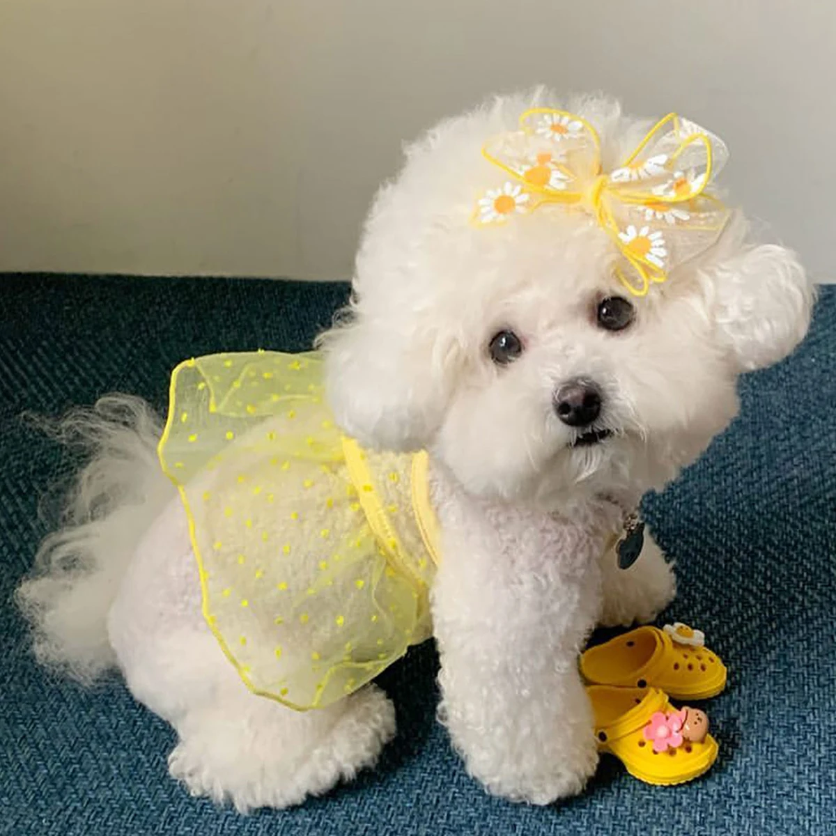 Vestido para Cães Pequenos e Gatos de Algodão Leve e Respirável - Imagem 4
