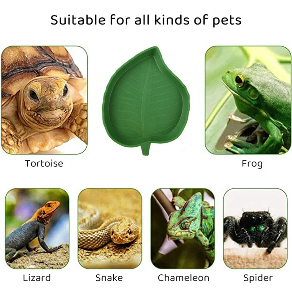 Comedouro Folha para Répteis e Pequenos Pets de Plástico Fácil de Limpar - Imagem 5