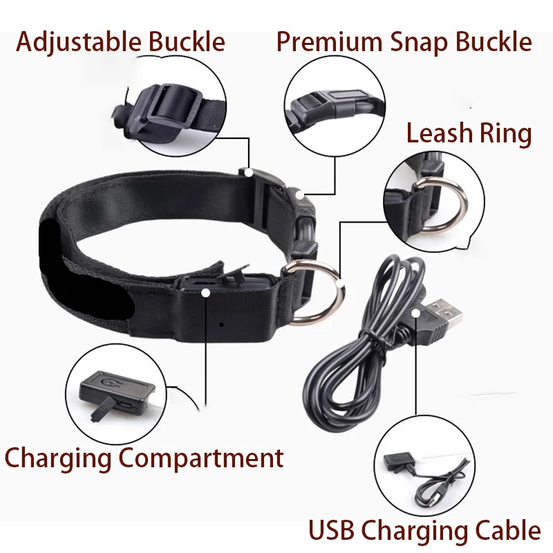 Coleira LED para Cães Recarregável USB com Luzes Piscantes Ajustáveis - Imagem 4