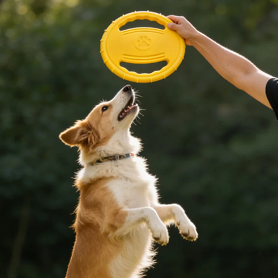 Brinquedo Disco Voador para Cães de Todos os Portes Resistente a Mordidas - Imagem 4