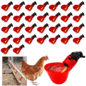bebedouro automático para aves