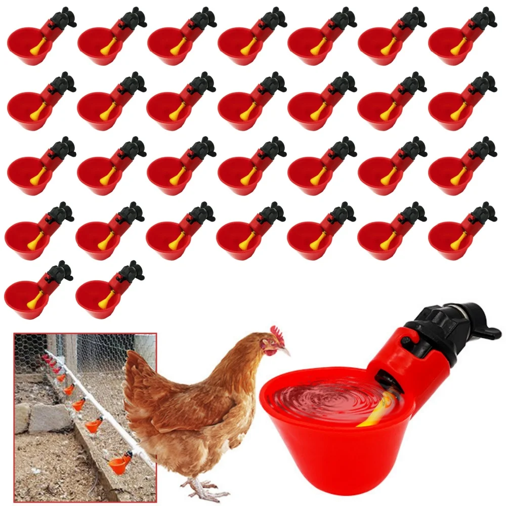 bebedouro automático para aves