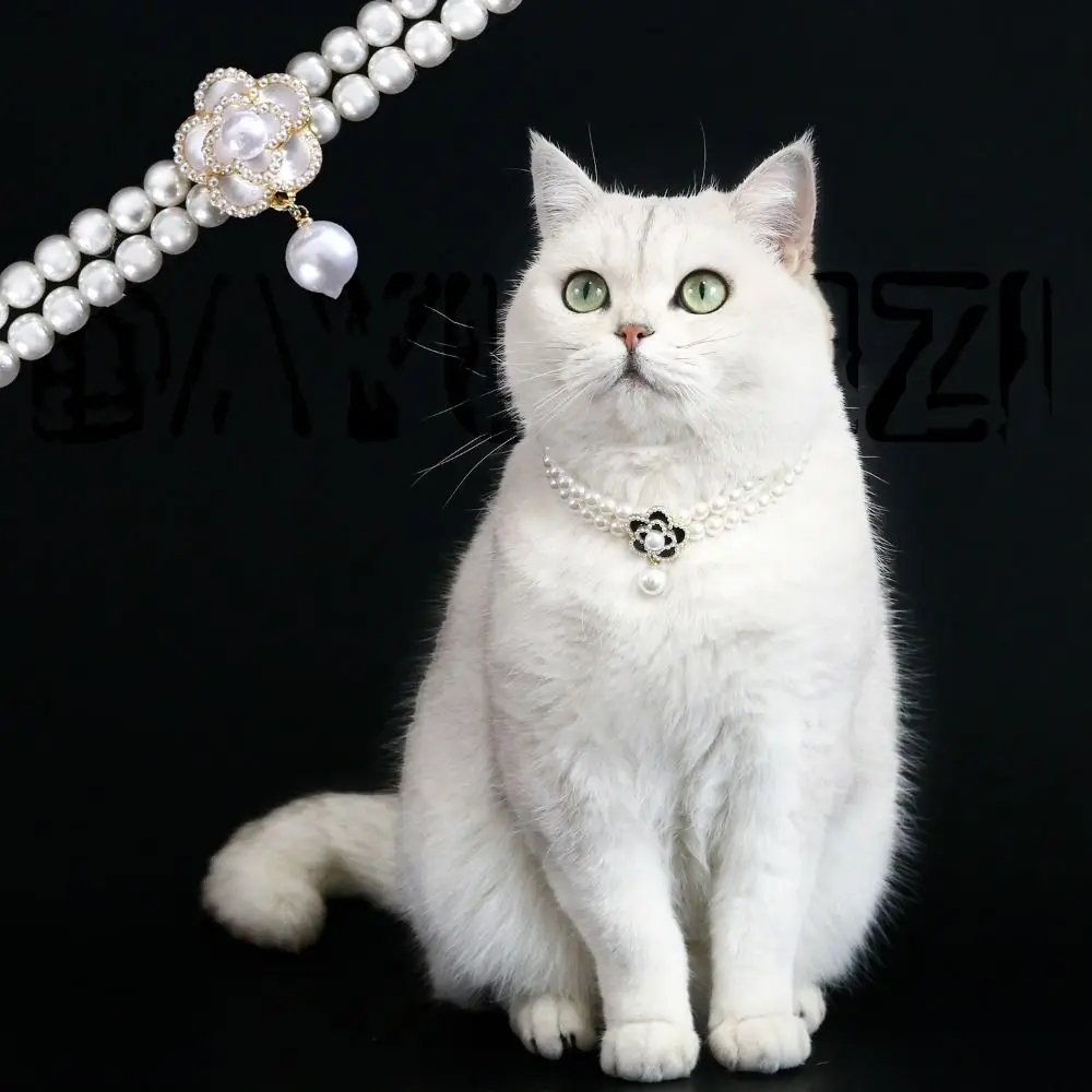 Coleira de Pérolas para Gatos e Cães Pequenos Ajustável com Pingente - Image 3
