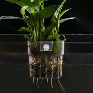 cesta para plantas de aquário transparente