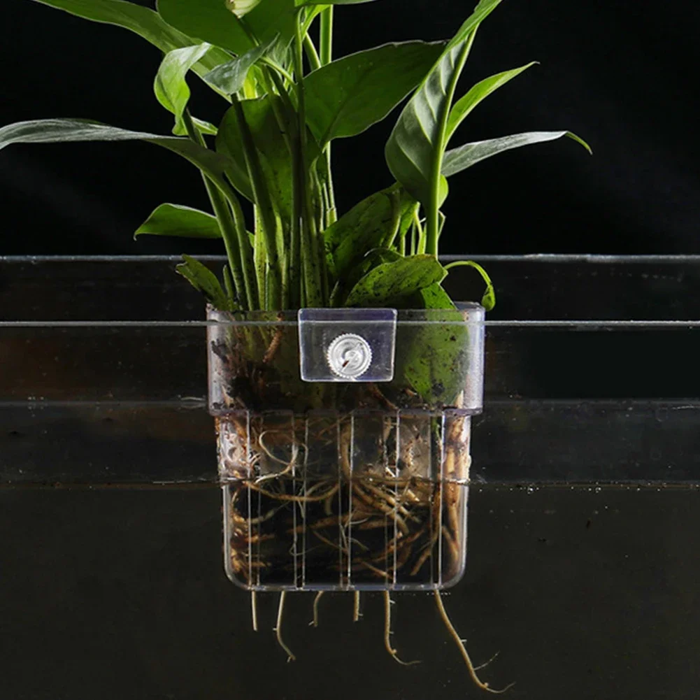 cesta para plantas de aquário transparente