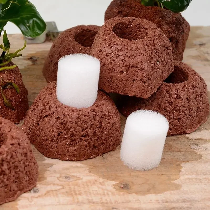 Anel de Cerâmica para Plantas de Aquário com Peso para Submergir - Imagem 2