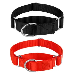 coleira martingale de nylon para cães