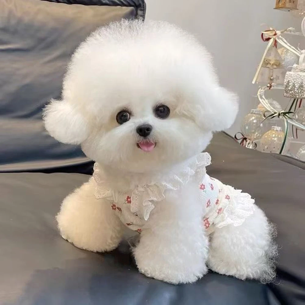 Colete de Moda Floral para Cães e Gatos com Laço - Image 5