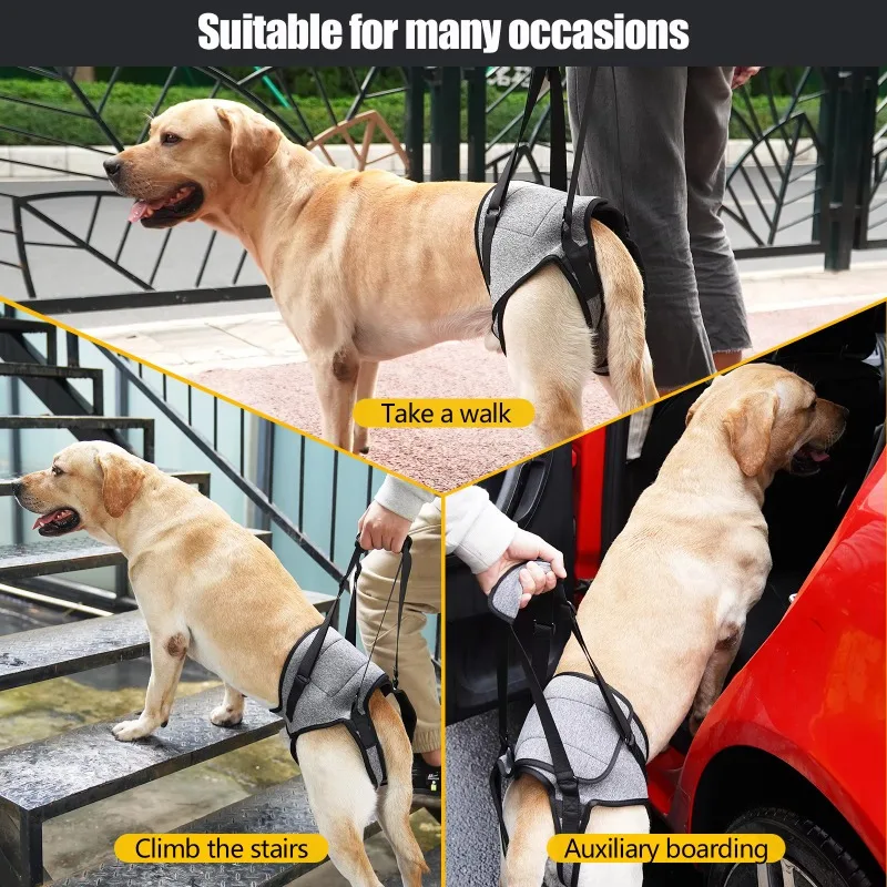 Arnês de Elevação para Cães Grandes Ajustável com Alça Acolchoada - Imagem 2