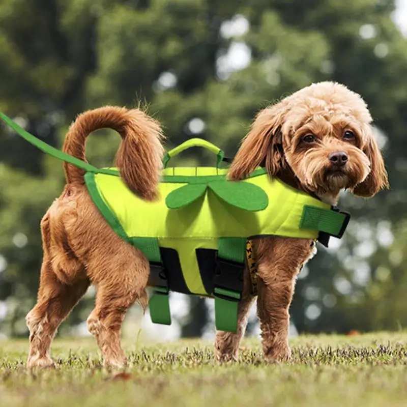 Colete Salva-Vidas para Cães Ajustável com Alça e Liberação Rápida - Imagem 5