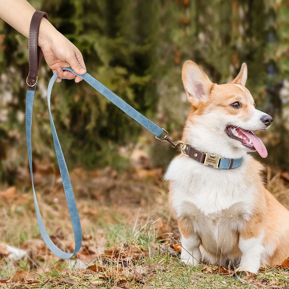 Coleira e Guia para Cães em Couro PU com Personalização Gratuita - Image 5