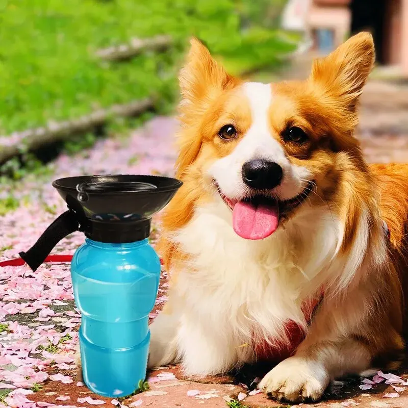 Garrafa de Água Portátil para Cães 500 ml com Retorno de Água - Imagem 5