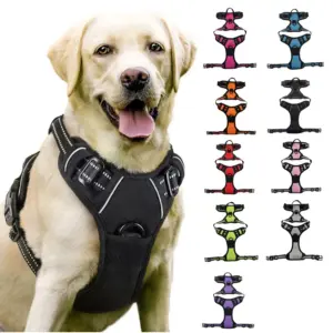coleira peitoral para cães ajustável