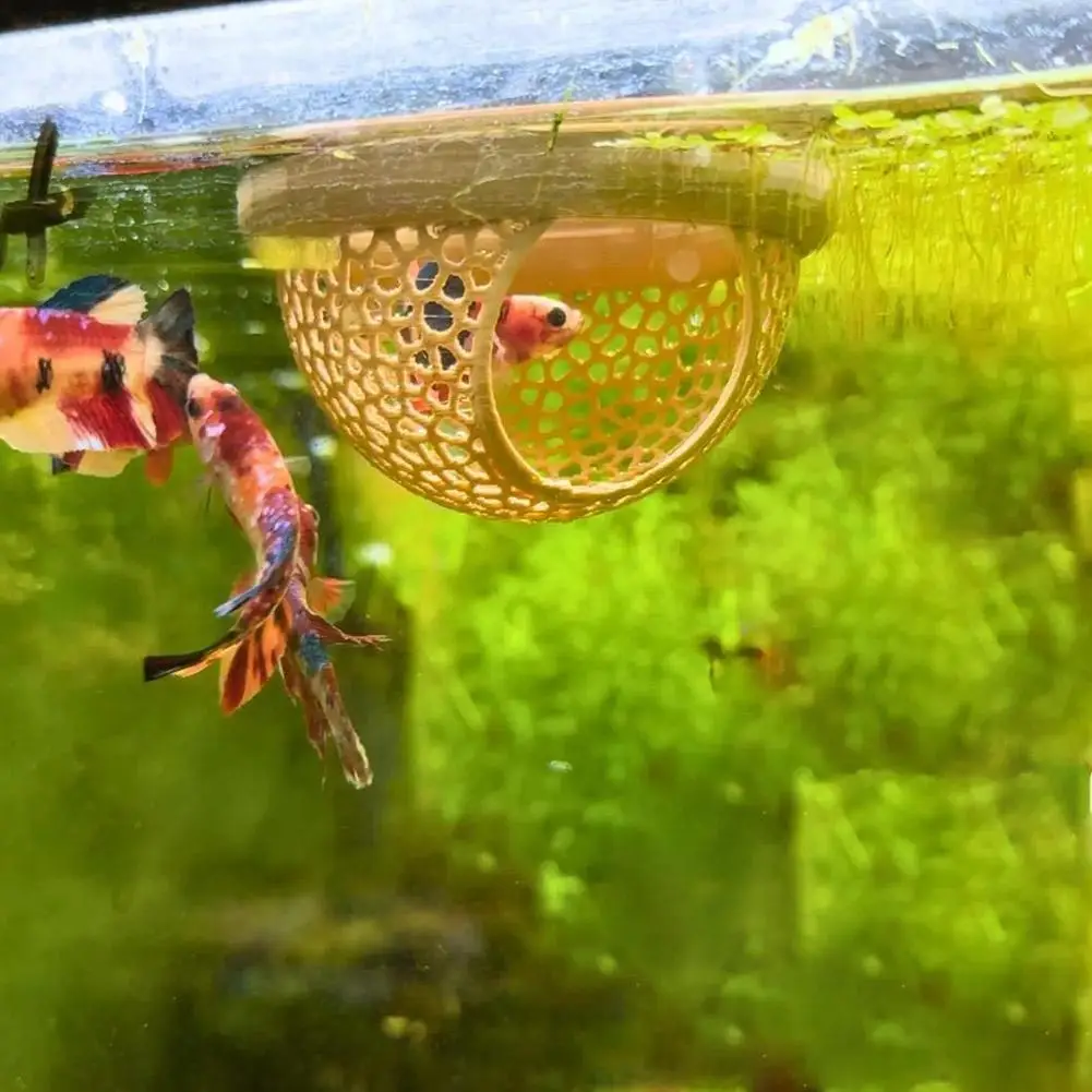 Aquário Flutuante Caverna para Peixe Betta 3-em-1 Rosa 10 cm - Imagem 4
