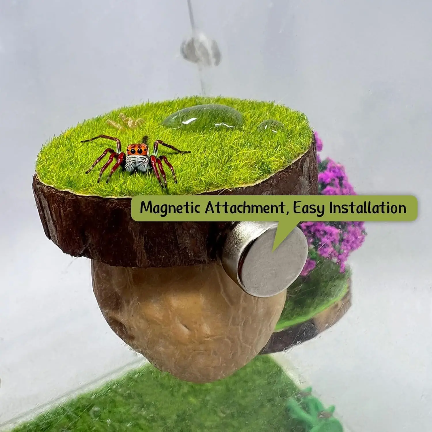 Kit de Decoração para Habitat de Aranha com Esconderijo - Imagem 3