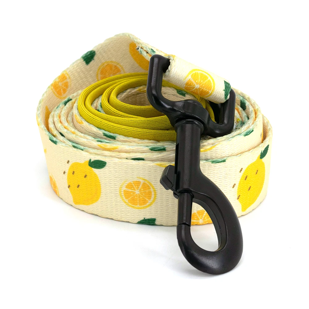 Coleira para Cães Collarlogo com Neoprene e Fivela de Plástico - Image 5