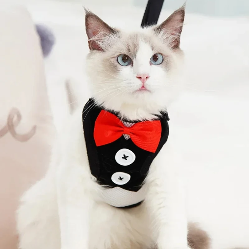 Coleira Peitoral Floral para Cães e Gatos de Laço Ajustável - Imagem 5