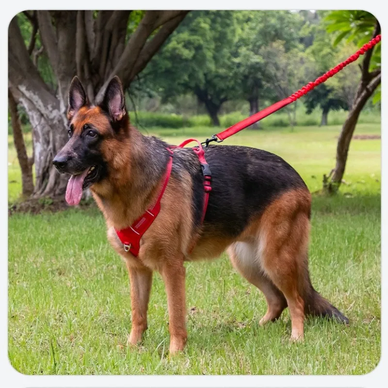 Arnês Respirável para Cães Grandes com Faixa Refletiva - Imagem 5