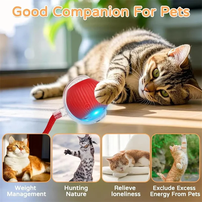 Brinquedo Interativo Cães e Gatos Bola Elétrica Recarregável USB - Imagem 6