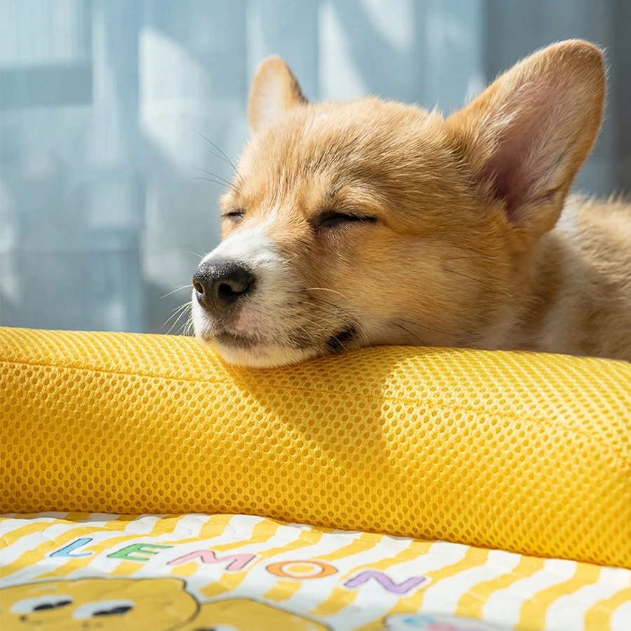 Cama Sofá para Cães e Gatos Removível e Lavável para Pequeno e Médio Porte - Imagem 5