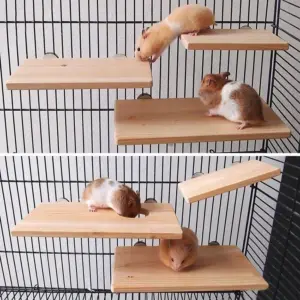 plataforma de madeira para hamster