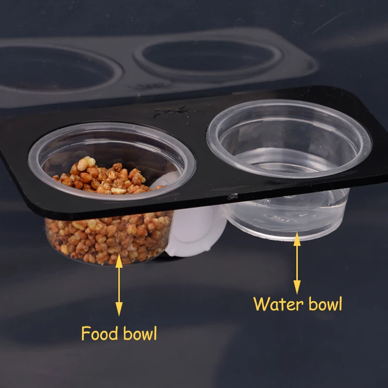 Tigela de Alimentação para Répteis com Ventosa Dupla Removível - Imagem 5