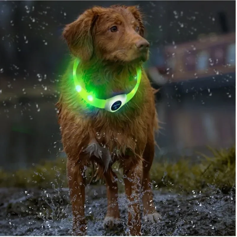Coleira de LED para Cães USB Recarregável e Ajustável 20-65 cm - Imagem 6