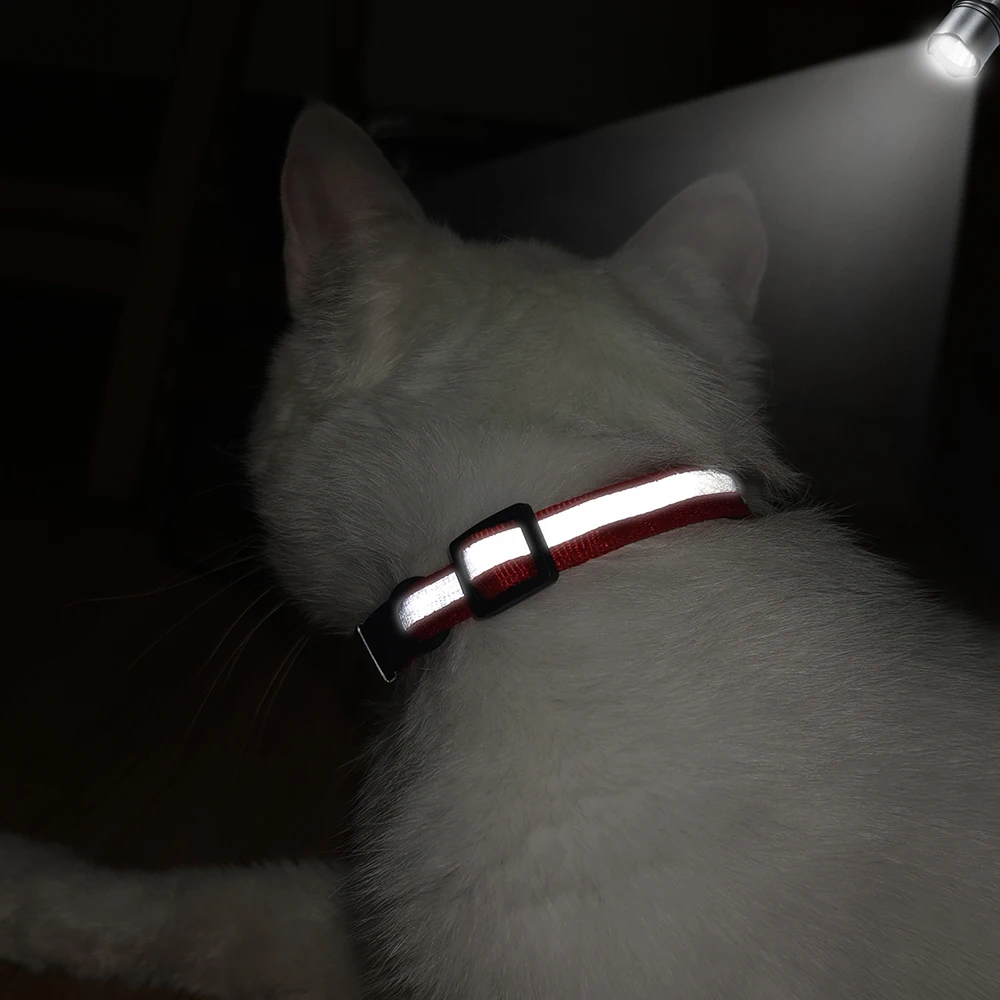 Coleira Reflexiva para Gatos e Cães Pequenos com Nome Gravado - Imagem 5