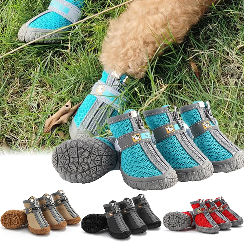 sapatos antiderrapantes para cães
