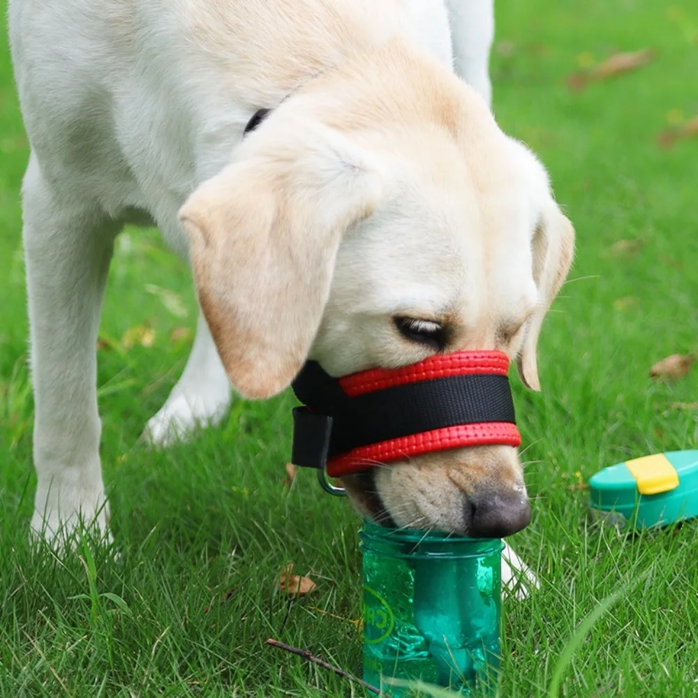 Focinheira Ajustável para Cães Respirável Anti-latido - Imagem 4