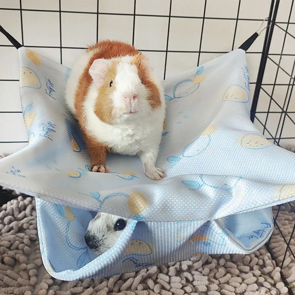 Rede de Descanso para Esquilos e Hamsters de Poliéster 18x18 cm - Imagem 5