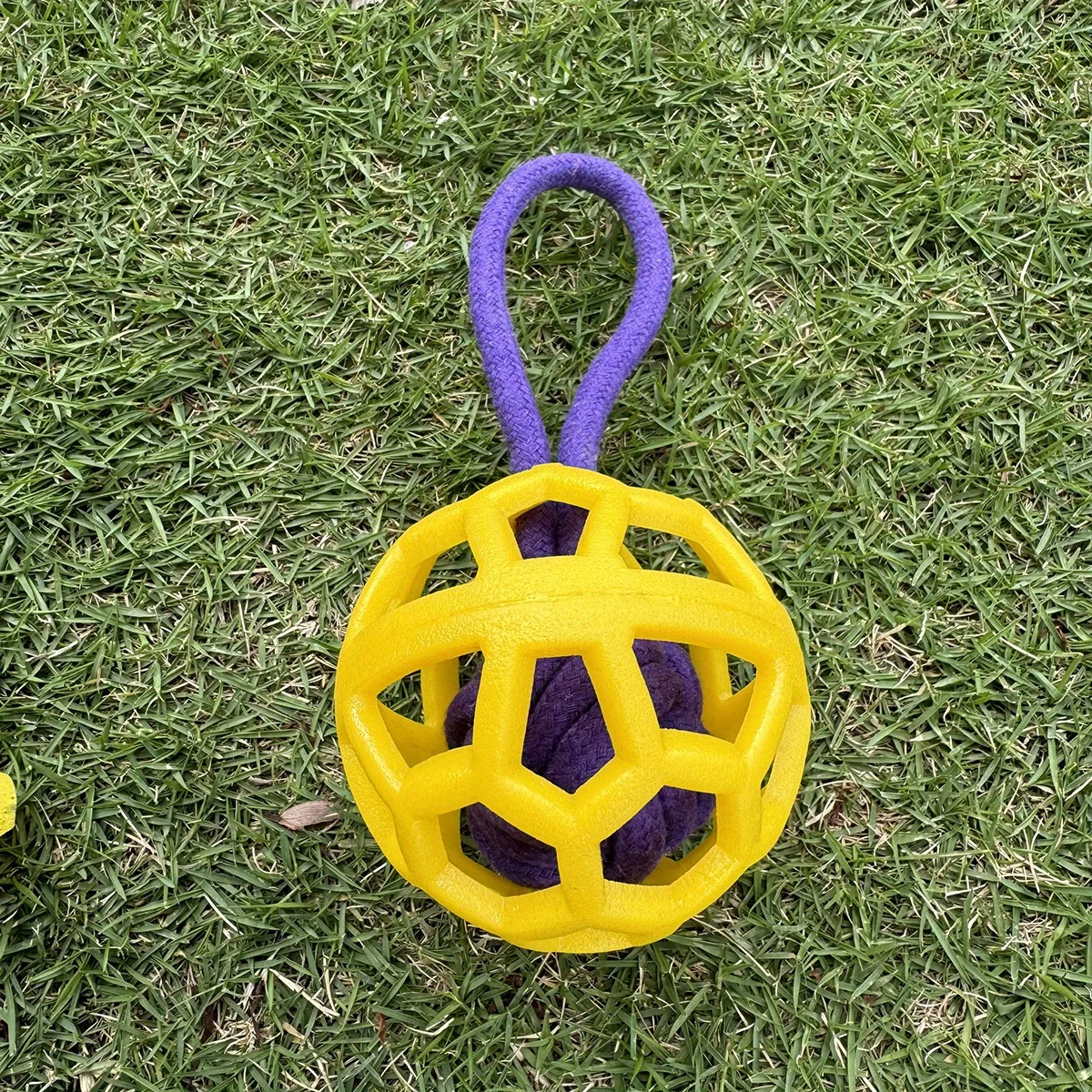 Bola de Mastigar para Cães em TPR Oco com Alça de Corda - Image 6
