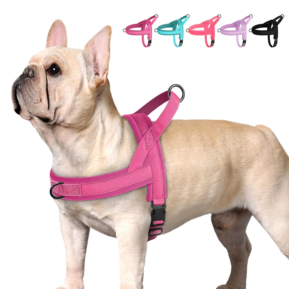colete de nylon acolchoado para cães pequenos