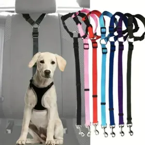 cinto de segurança para cães de carro