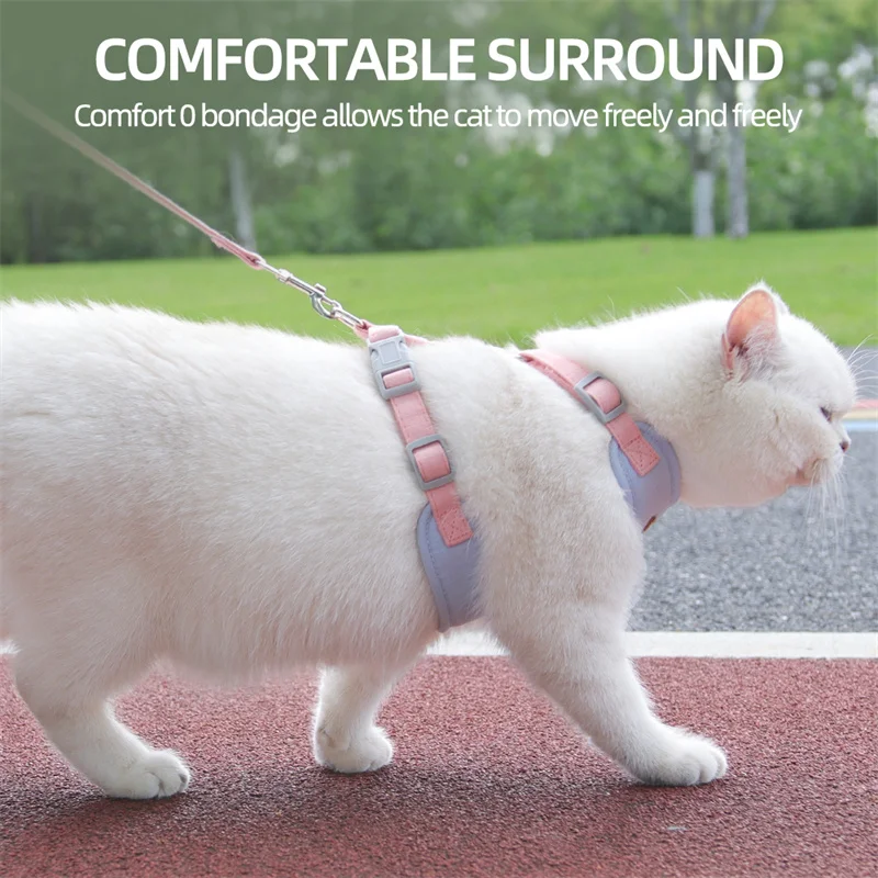 Coleira e Guia Ajustáveis para Gatos para Passeio - Imagem 5