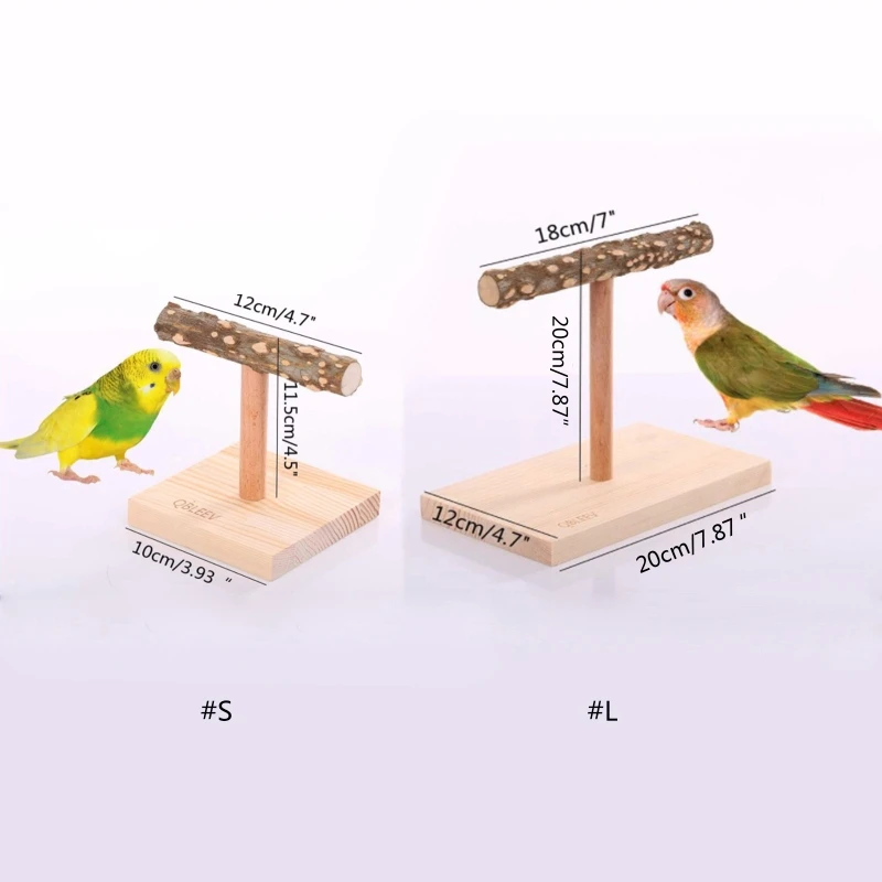 Poleiro de Mesa para Pássaros de Madeira Natural com Base 10x10 cm - Imagem 6