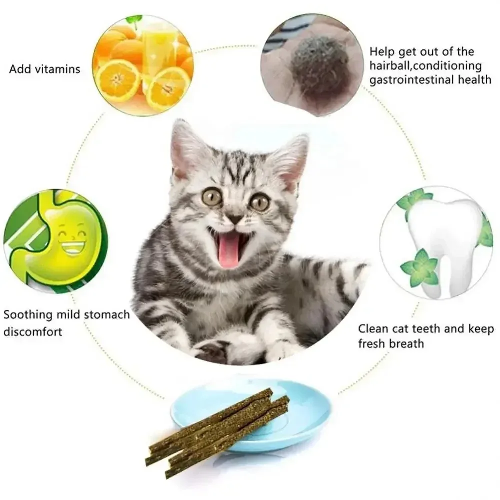 Bastões de Matatabi e Silvervine para Gatos com Menta, 6 Peças - Imagem 6