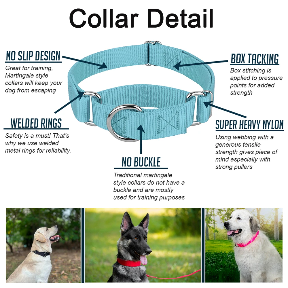 Coleira Martingale para Cães Ajustável em Nylon Resistente - Imagem 3