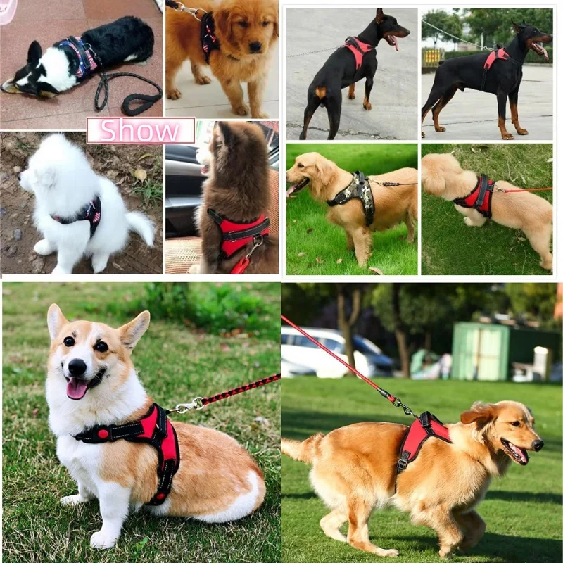 Arnês para Cães de Nylon com Fivela de Fechamento Fácil - Imagem 2