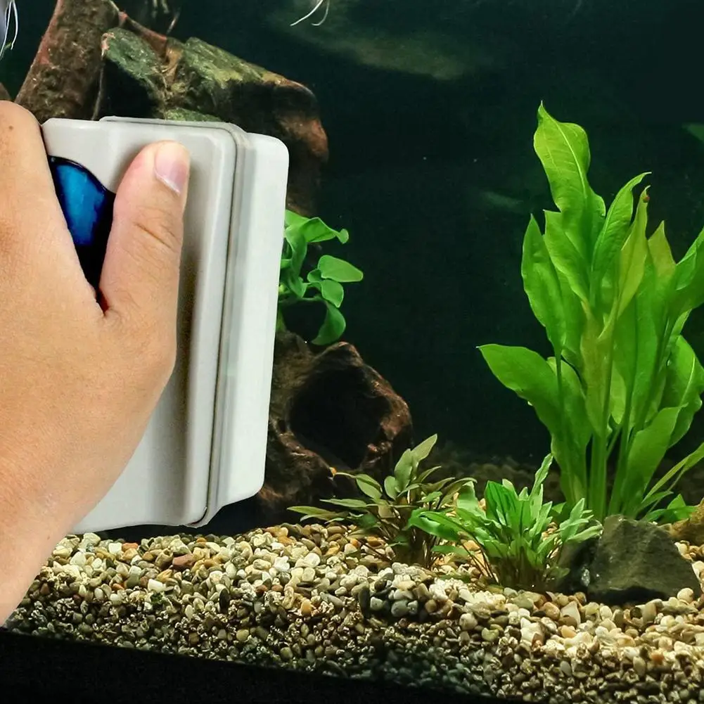 Escova Magnética para Aquário Flutuante com Ímã Super Forte - Imagem 3