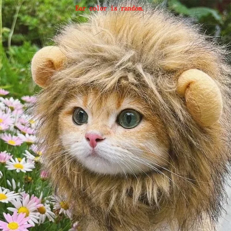 peruca juba de leão para gatos