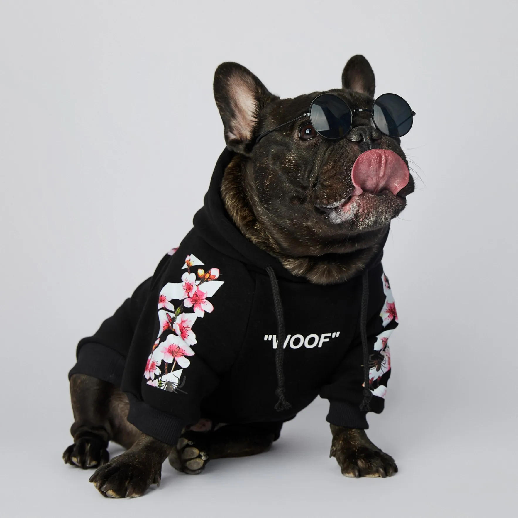 Moletom Woof para Cães de 2 Pernas Quente para Outono e Primavera - Imagem 3